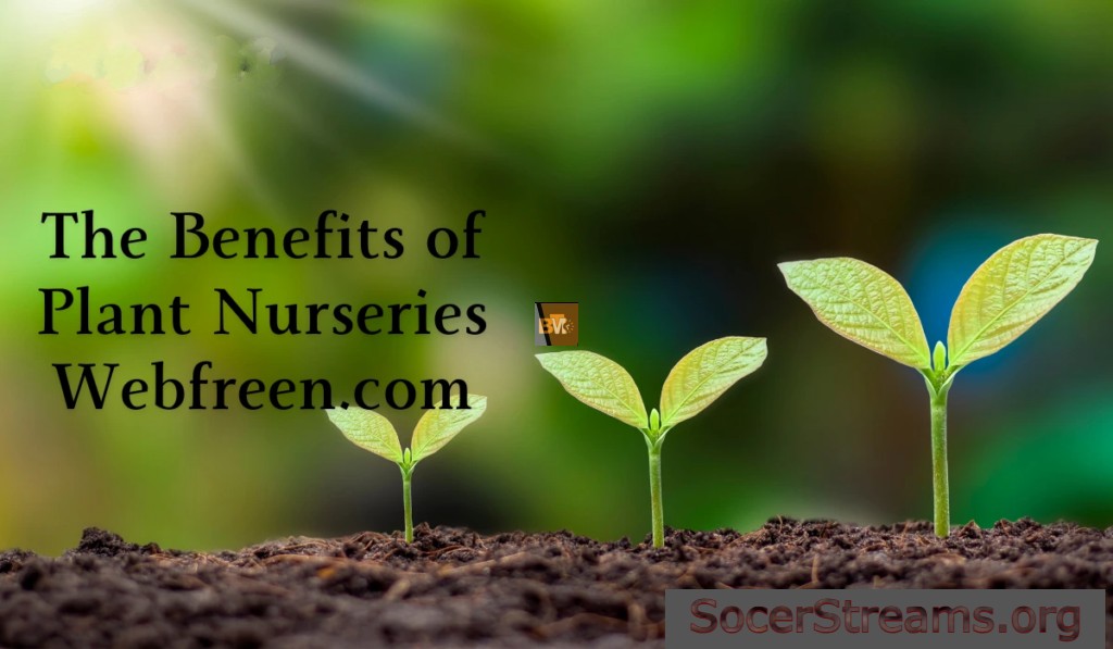 The Benefits of Plant Nurseries Webfreen.com: in 2024 Why It’s the Best Choice for Your Garden