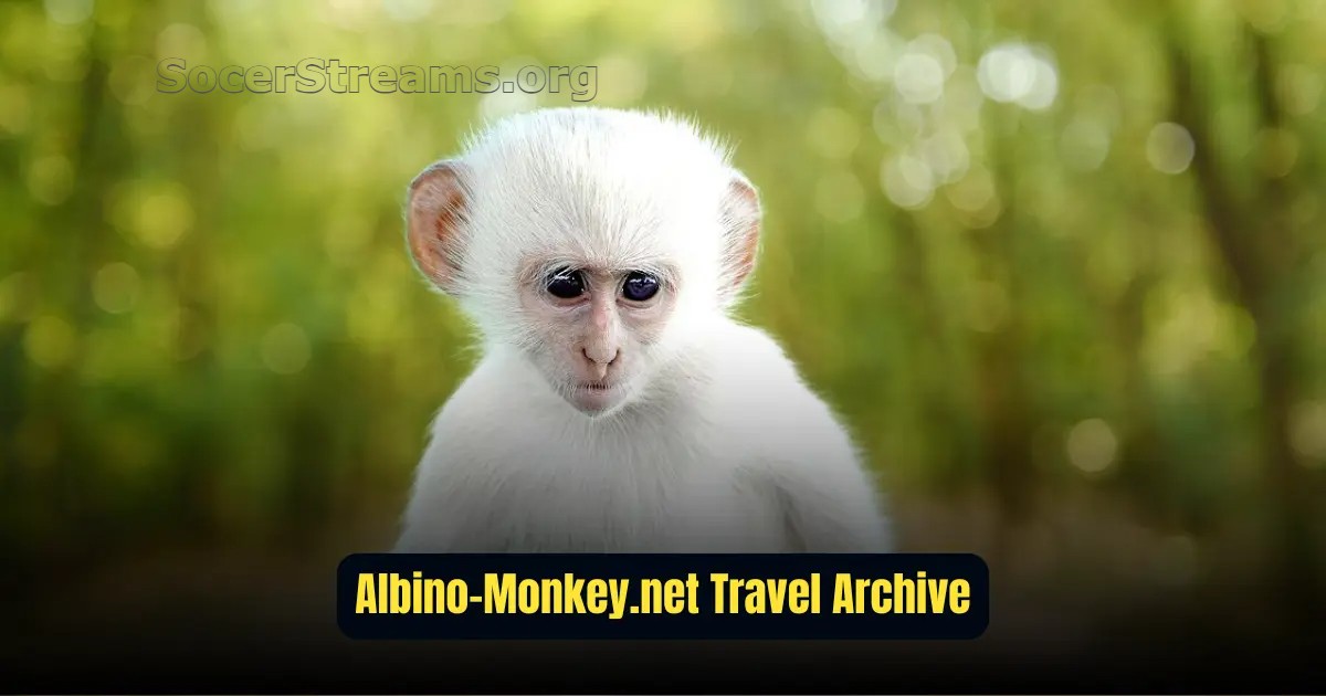 Albino-Monkey.net Travel Archives