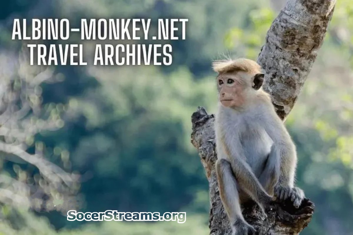 Albino-Monkey.net Travel Archives