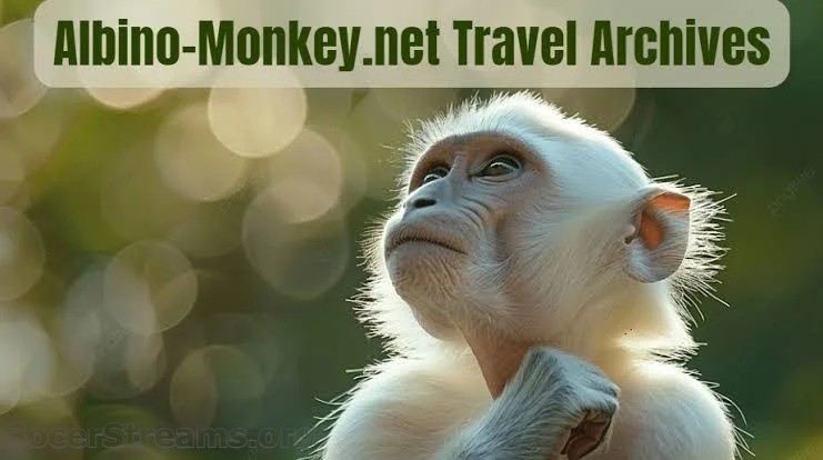 Albino-Monkey.net Travel Archives