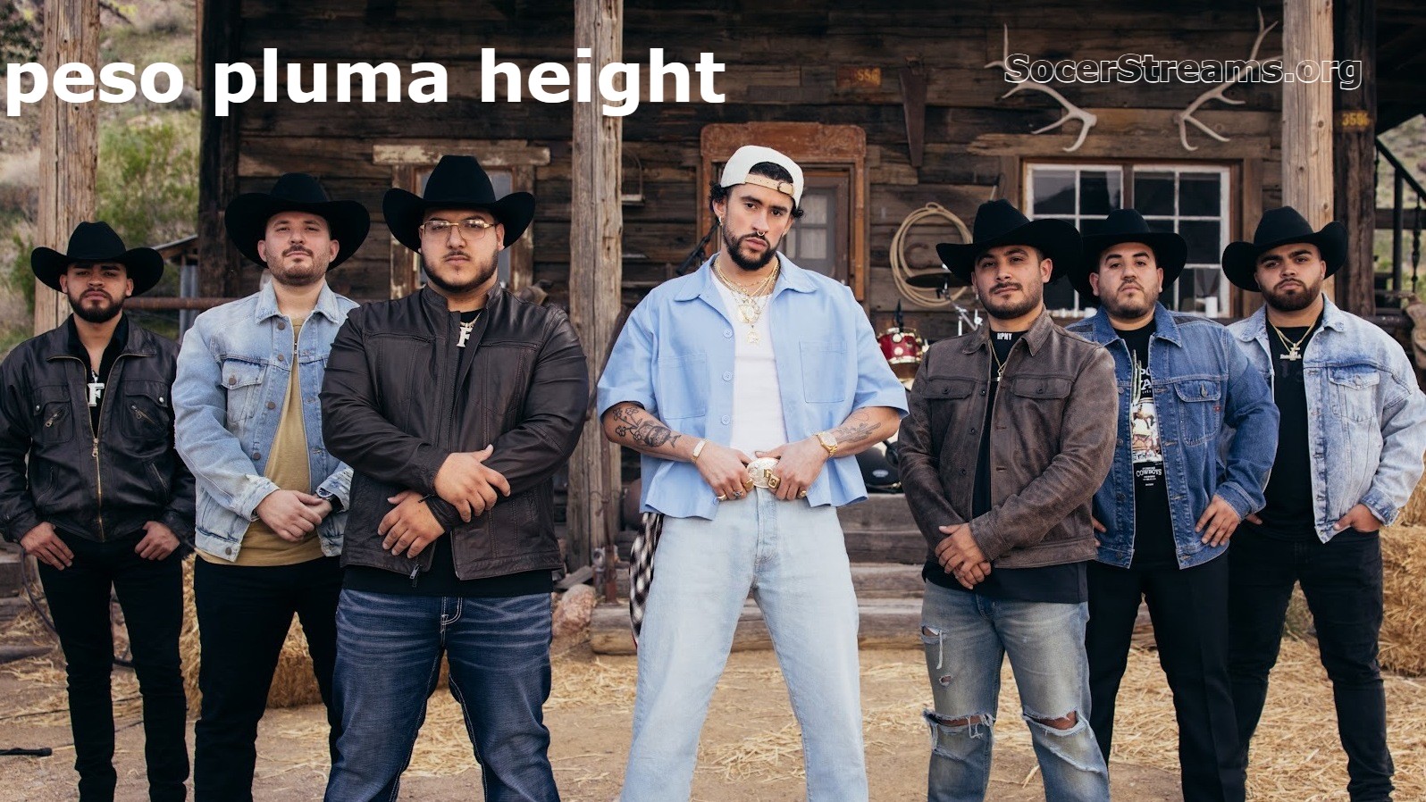 peso pluma height