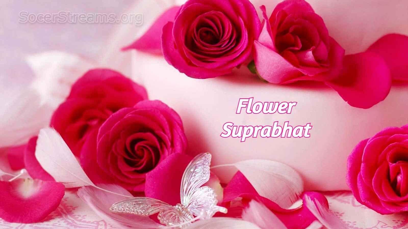 Flower Suprabhat